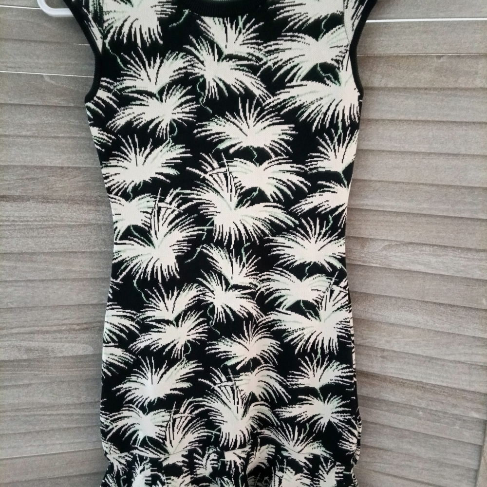 Rachel Roy Sleeveless Palm Print/Fireworks Knit Dress